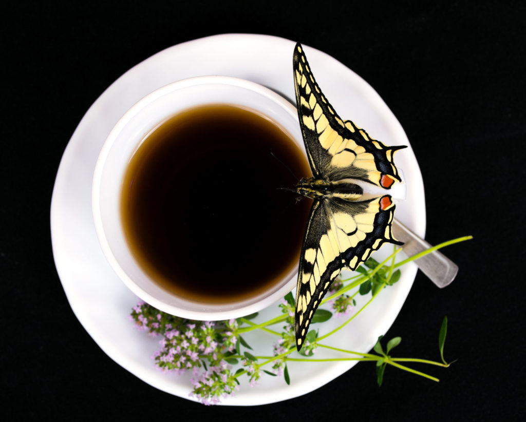 coffee chats