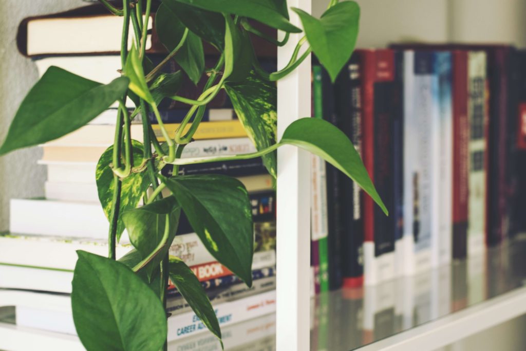 Books on a shelf